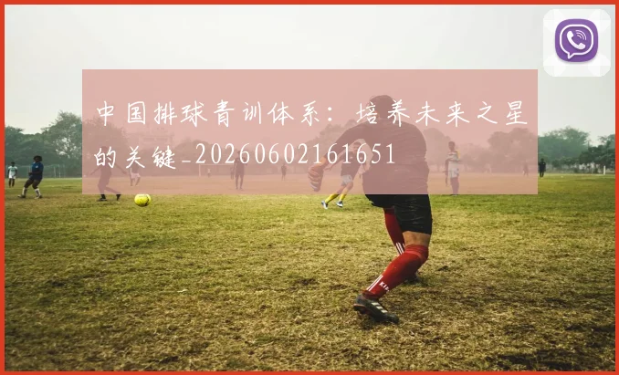 中国排球青训体系：培养未来之星的关键_20260602161651